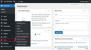 WordPress Multisite Toolkit - Admin Pro