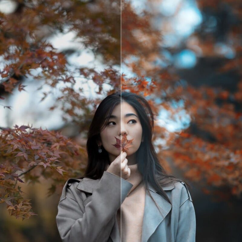 Adobe Lightroom Presets - ProPortrait